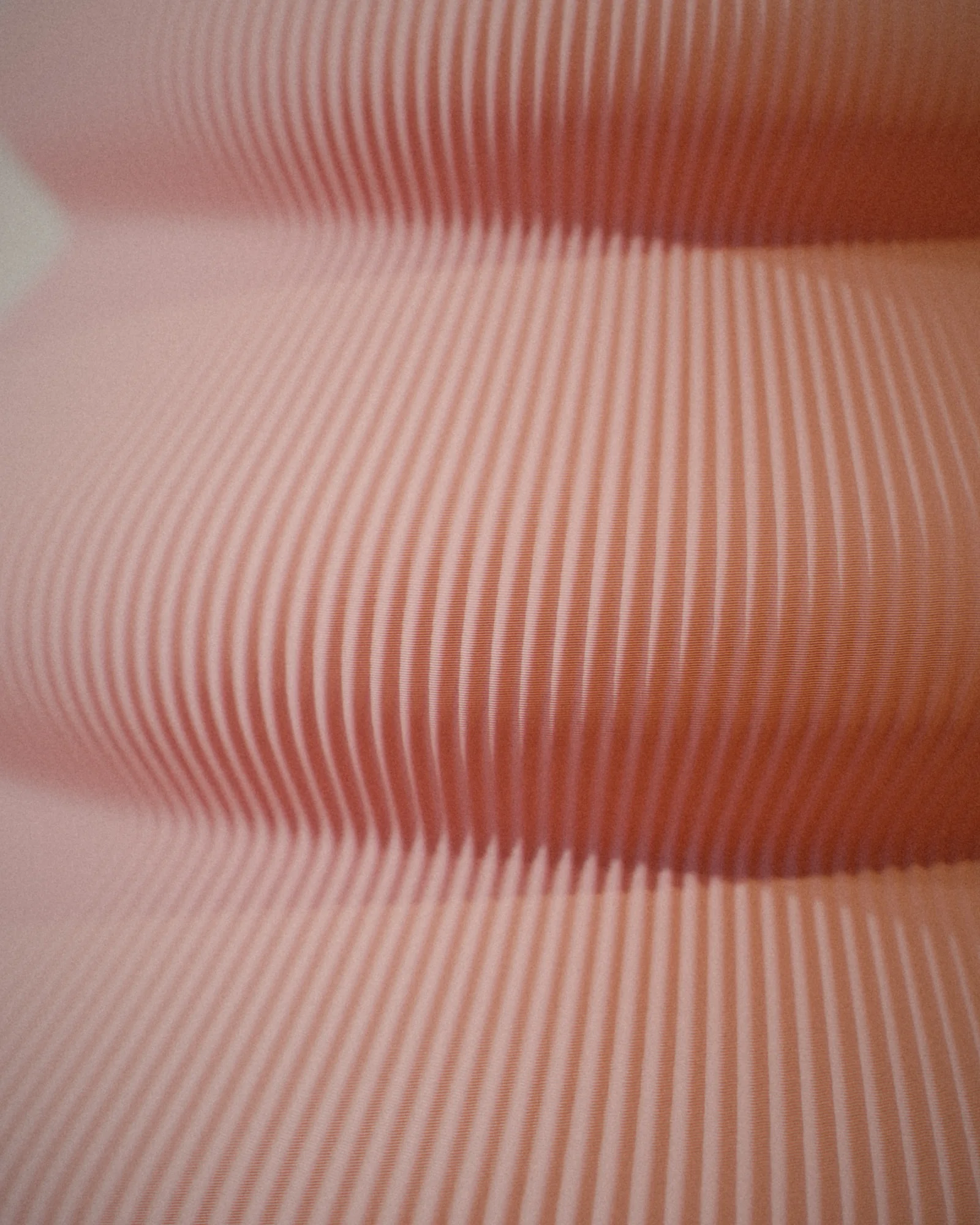 Kumo, up close.