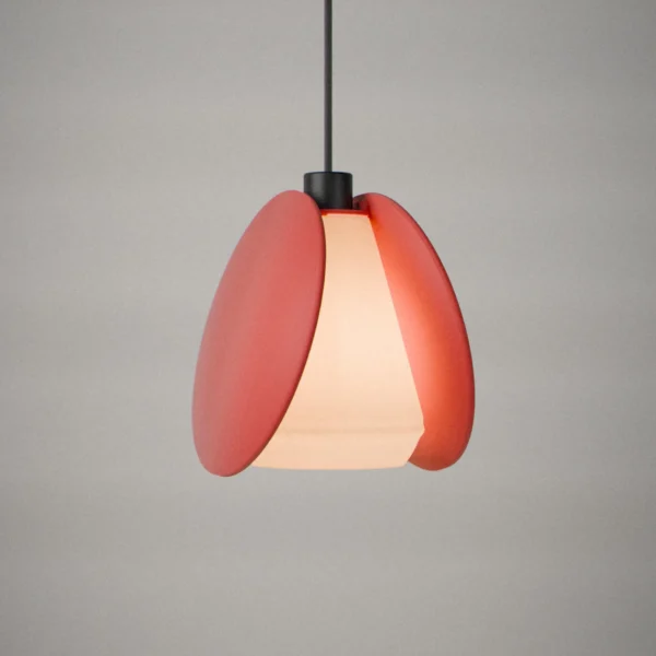Clam, lit, on a pale grey wall