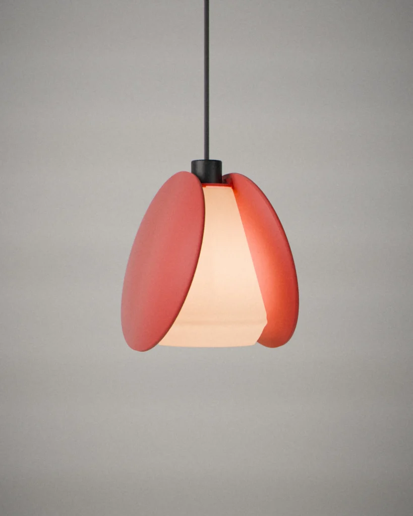 Clam, lit, on a pale grey wall