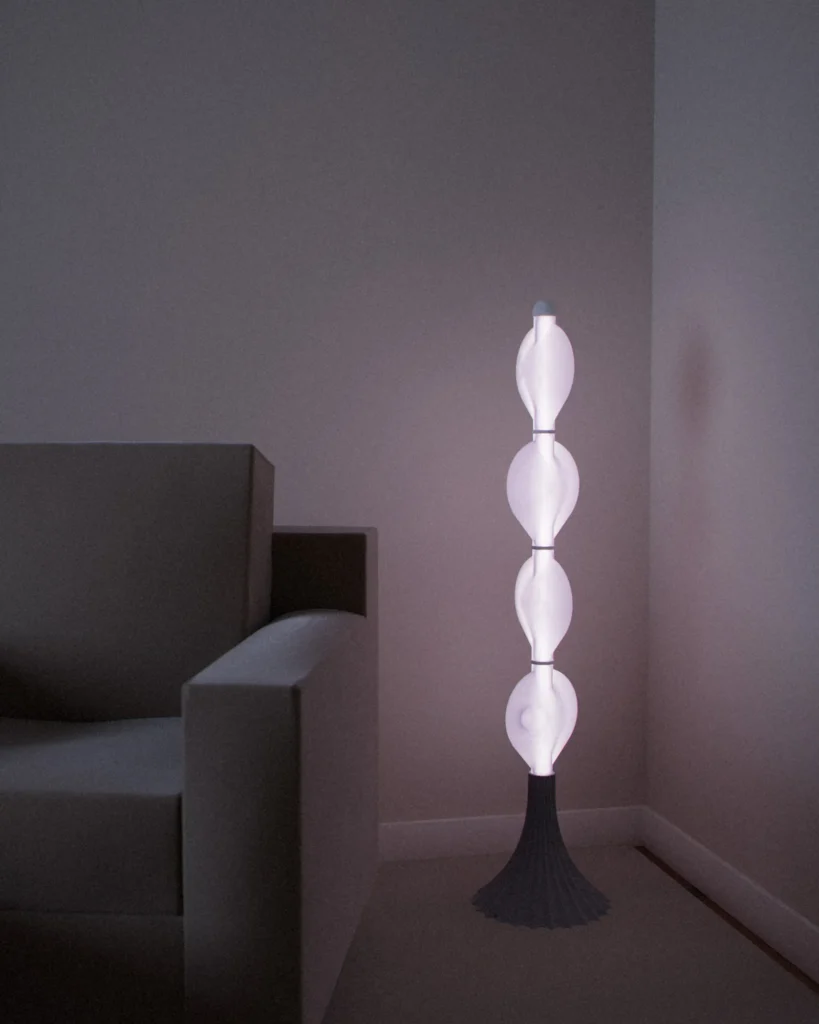 Koma lit in a furnished room in the evening