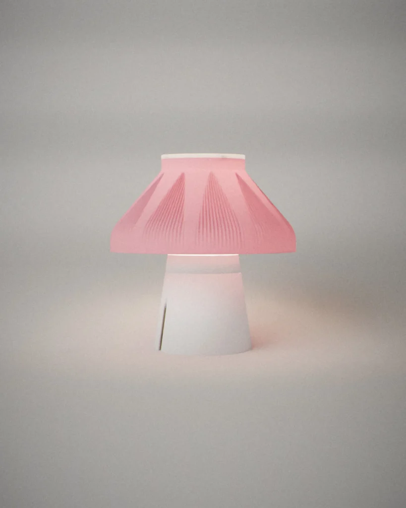 Petal, lit, on a pale grey wall