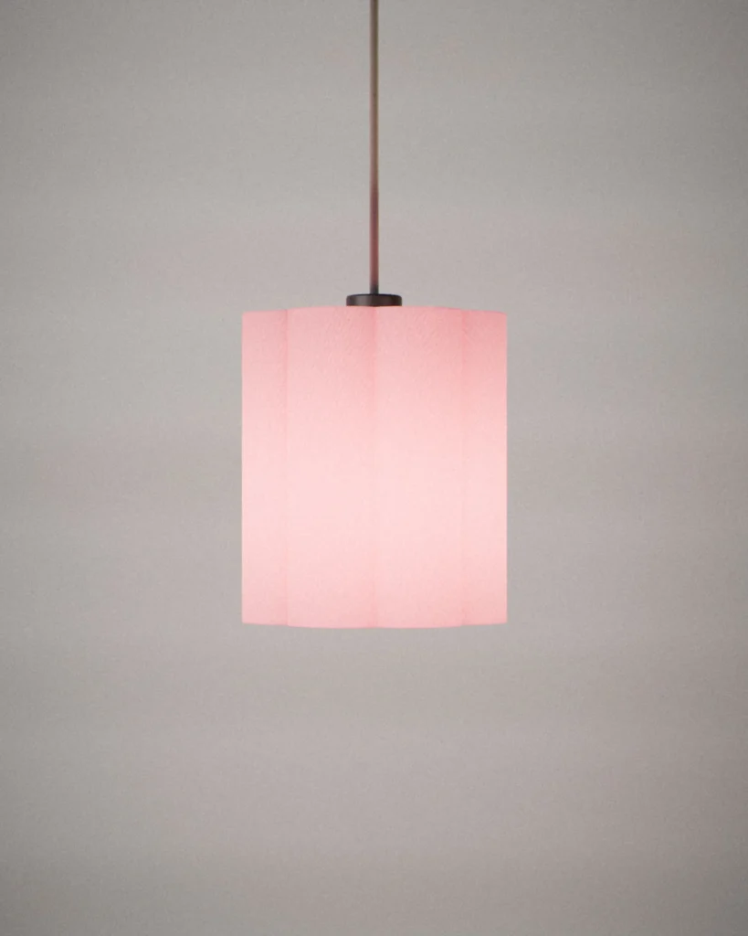 Scallop, lit, on a pale grey wall