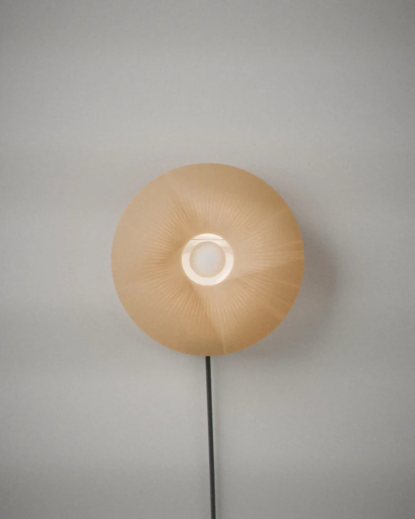 Sun, lit, on a pale grey wall